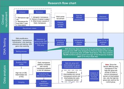 Genetic risk stratification and risk factors of early menopause in women: a multi-center study utilizing polygenic risk scores